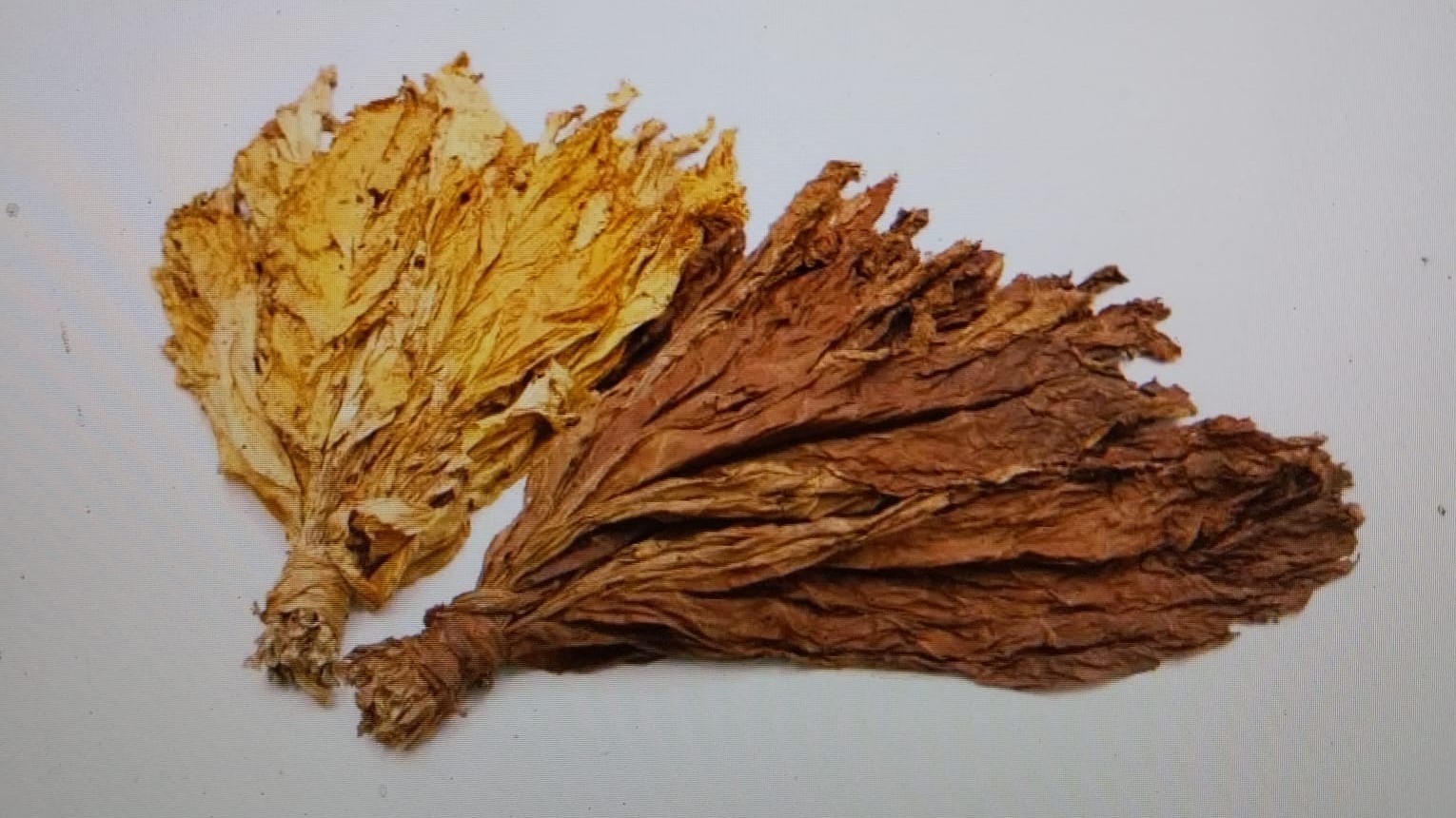 Blog entry 2 Blog entry 2