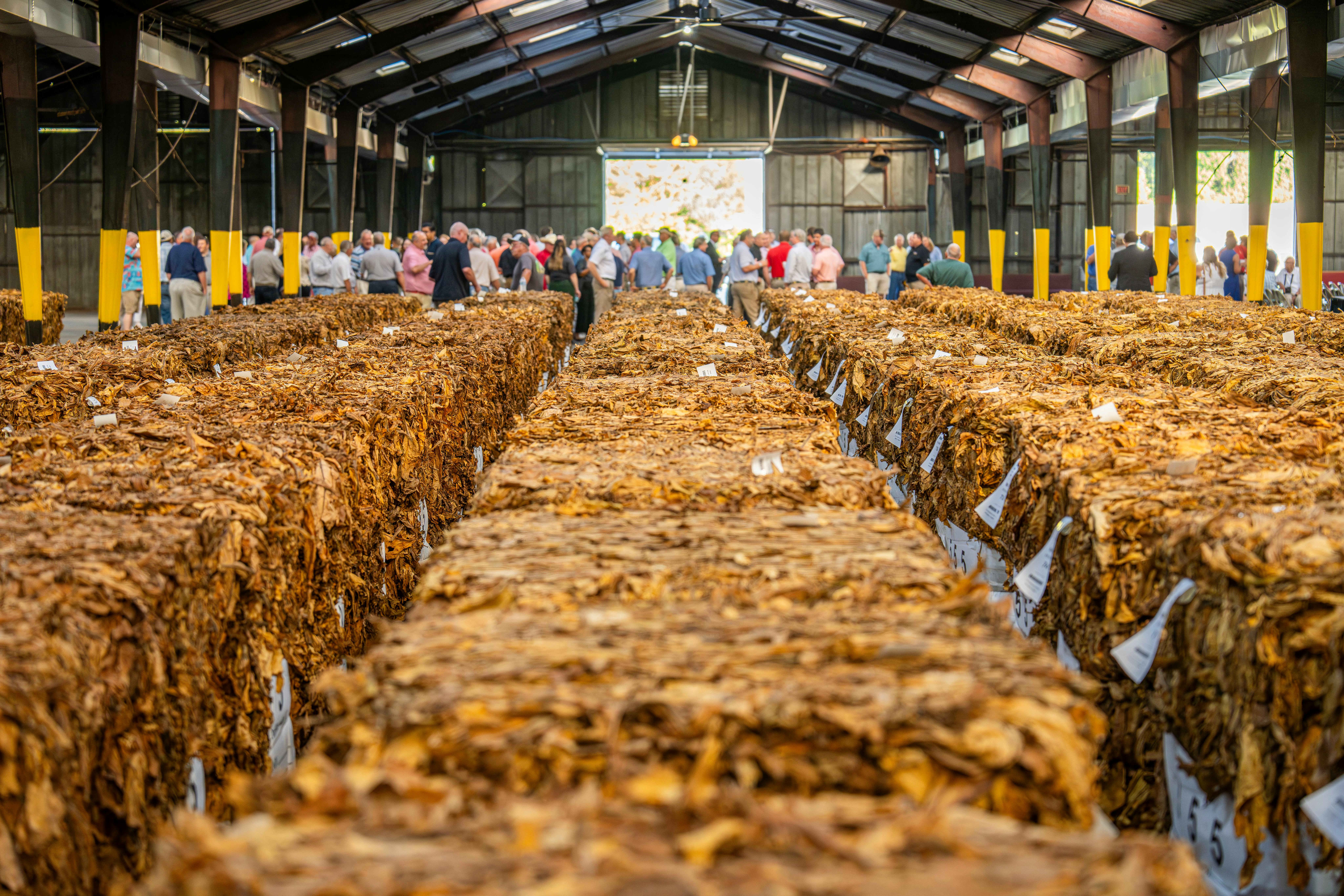 Raw Leaf Prices & Geo-Political Pressures